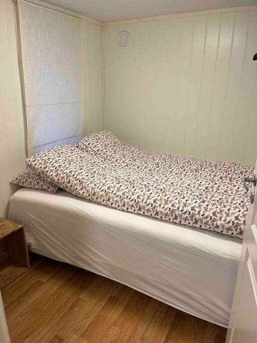 شقة Gimle Casa ترومسو المظهر الخارجي الصورة